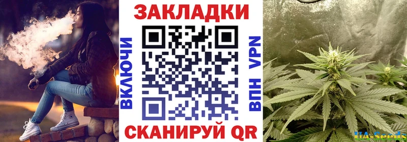 Виды наркотиков купить Ленинградская COCAIN  Амфетамин  МЕТАДОН  Каннабис  ГАШИШ  СОЛЬ 