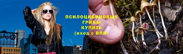 скорость Белокуриха