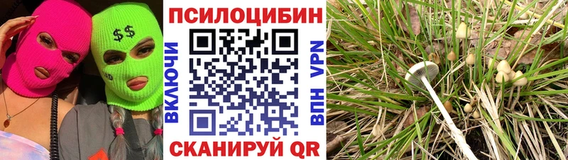 наркота  Ленинградская  Псилоцибиновые грибы мухоморы 
