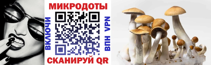 Галлюциногенные грибы Psilocybe Ленинградская